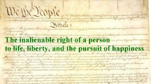 constitution