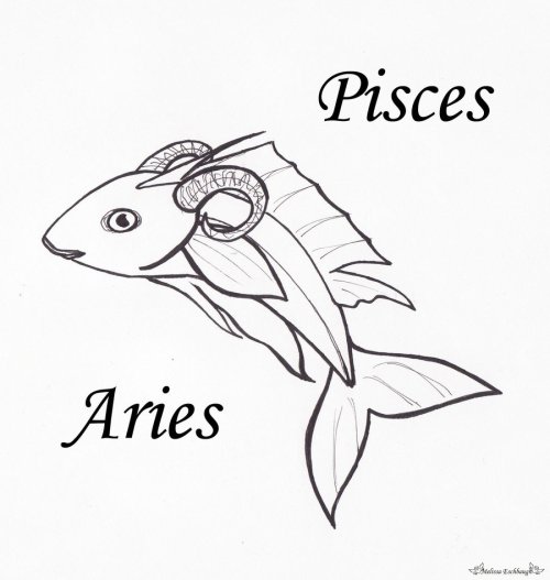 born-on-the-cusp-pisces-aries-when-both-the-day-and-night-are-of-equal-length-004-march-20th.jpg